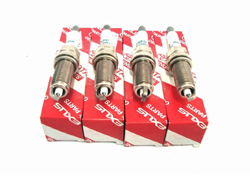 Sparks plug