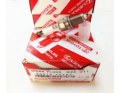 Sparks plug